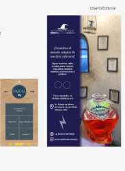 Captura de pantalla 2025-12-18 113633